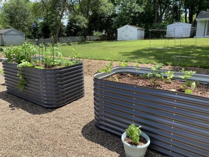 vegetable garden